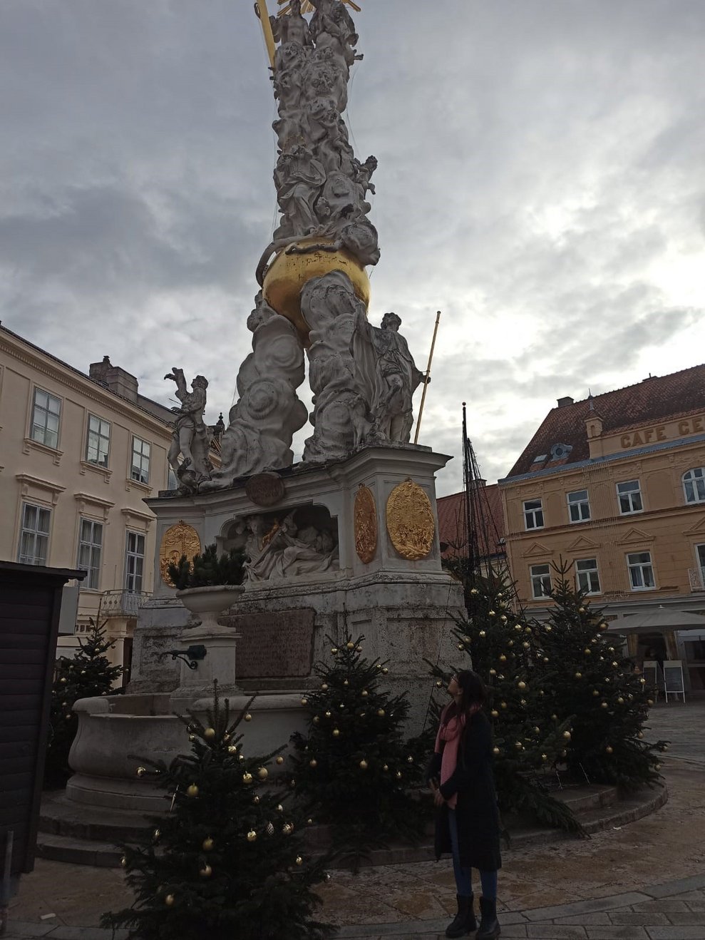 Besichtigung der Pestsäule